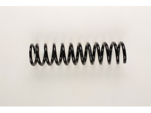 BILSTEIN 36-225880 spyruoklė 
 Pakaba -> Spyruoklės
124 321 20 04