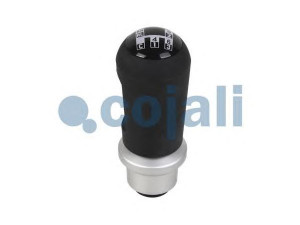 COJALI 2880134 pavarų svirties galvelė
1485717