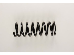 BILSTEIN 36-129737 spyruoklė
123 324 06 04, 123 324 09 04, 123 324 35 04