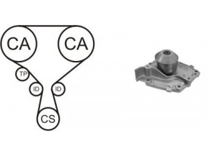 AIRTEX WPK-166804 vandens siurblio ir paskirstymo diržo komplektas 
 Aušinimo sistema -> Vandens siurblys/tarpiklis -> Vandens siurblys