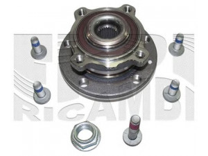 CALIBER RC4956 rato guolio komplektas