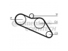 CONTITECH CT612 paskirstymo diržas 
 Techninės priežiūros dalys -> Papildomas remontas
94029834, 4304099, 5125360160, 94029834