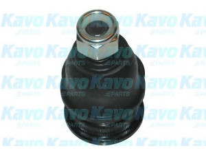 KAVO PARTS SBJ-3010 atramos/vairo trauklė 
 Ašies montavimas/vairavimo mechanizmas/ratai -> Sujungimai -> Atramos/vairo trauklė
5513034A00, 5513034A01, 5513037000