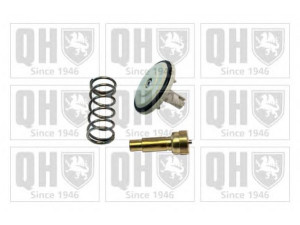QUINTON HAZELL QTH731K termostatas, aušinimo skystis 
 Aušinimo sistema -> Termostatas/tarpiklis -> Thermostat
03C 121 110A