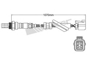 WALKER PRODUCTS 250-24476 lambda jutiklis 
 Išmetimo sistema -> Jutiklis/zondas
36532 RAD L11, 36532 RAD L12