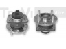 TREVI AUTOMOTIVE WB1613 rato guolio komplektas 
 Ašies montavimas/vairavimo mechanizmas/ratai -> Rato stebulė/montavimas -> Rato guolis
1057808, 1118054