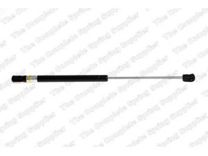 ROC GS1049 dujinė spyruoklė, gaubtas 
 Kėbulas -> Dujinės spyruoklės
811602B000, 811602B010