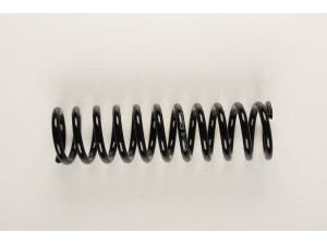 BILSTEIN 36-129775 spyruoklė 
 Pakaba -> Spyruoklės
201 321 22 04