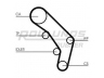 ROULUNDS RUBBER RR1294 paskirstymo diržas 
 Techninės priežiūros dalys -> Papildomas remontas
074109119F, 074109119H, 074109119F