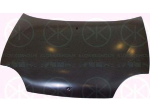 KLOKKERHOLM 2031280 gaubtas 
 Kėbulas -> Transporto priemonės galas -> Gaubtas/dalys/garso izoliacinė medžiaga
0000046511948, 46511948