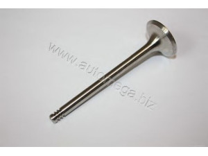 AUTOMEGA 3006410325 išleidimo vožtuvas 
 Variklis -> Variklio uždegimo laiko reguliavimo kontrolė -> Vožtuvų eilė -> Vožtuvai/dalys
0641325, 641325, 0641325, 641325
