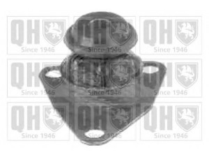 QUINTON HAZELL EM3134 variklio montavimas; montavimas, automatinė transmisija; montavimas, neautomatinė transmisija 
 Transmisija -> Neautomatinė pavarų dėžė -> Ašies montavimas
7784313