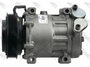 TEAMEC 8645506 kompresorius, oro kondicionierius 
 Oro kondicionavimas -> Kompresorius/dalys
7700112299, 7700867841, 7701499845