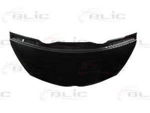 BLIC 6803-00-8100280P gaubtas 
 Kėbulas -> Transporto priemonės galas -> Gaubtas/dalys/garso izoliacinė medžiaga
5330174010, 5330174020