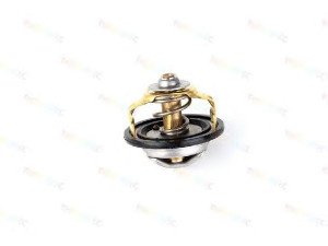 THERMOTEC D2IV003TT termostatas, aušinimo skystis 
 Aušinimo sistema -> Termostatas/tarpiklis -> Thermostat
50 401 4236, 50 403 1212