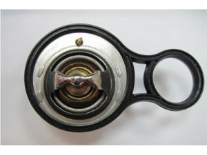MOTORAD 718-91 termostatas, aušinimo skystis 
 Aušinimo sistema -> Termostatas/tarpiklis -> Thermostat
11531485847, 11537596787
