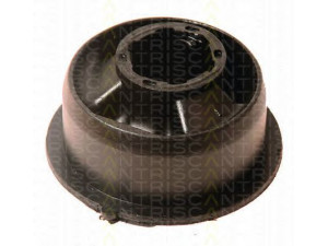 TRISCAN 8500 27831 valdymo svirties/išilginių svirčių įvorė 
 Ašies montavimas/vairavimo mechanizmas/ratai -> Valdymo svirtis/pasukamosios svirties sujungimas -> Montavimas/sutvirtinimas
9191537