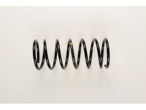 BILSTEIN 36-201860 spyruoklė 
 Pakaba -> Spyruoklės
115 450 300