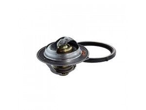 SIDAT 94.788 termostatas, aušinimo skystis 
 Aušinimo sistema -> Termostatas/tarpiklis -> Thermostat
255002A100