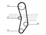 ROULUNDS RUBBER RR1441 paskirstymo diržas 
 Techninės priežiūros dalys -> Papildomas remontas
054109119E, 054109119H, 1302851E00