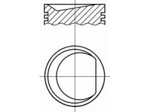 NÜRAL PI1591100DP STD stūmoklis