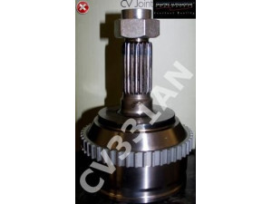 SHAFTEC CV331AN jungtis, kardaninis velenas 
 Ratų pavara -> Sujungimai/komplektas