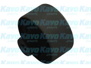 KAVO PARTS SCR-5523 valdymo svirties/išilginių svirčių įvorė 
 Ašies montavimas/vairavimo mechanizmas/ratai -> Valdymo svirtis/pasukamosios svirties sujungimas -> Montavimas/sutvirtinimas
4120A001