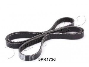JAPKO 5PK1730 V formos rumbuoti diržai 
 Techninės priežiūros dalys -> Techninės priežiūros intervalai
252122A130, 252122A132