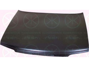 KLOKKERHOLM 5535280A1 gaubtas 
 Kėbulas -> Liukai/stogai/durys/stoglangis/sulankstomas stogas -> Gaubtas/dalys/garso izoliacinė medžiaga
7901 C8
