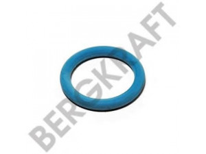 BERGKRAFT BK8700737 tarpiklis
006 997 48 48, 0069974848