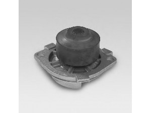 HEPU P1035 vandens siurblys 
 Aušinimo sistema -> Vandens siurblys/tarpiklis -> Vandens siurblys
46515971