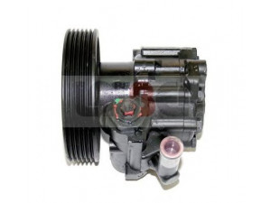 LAUBER 55.0017 hidraulinis siurblys, vairo sistema 
 Vairavimas -> Vairo pavara/siurblys
9624659580, 4007.N4, 4007.Z1, 4007N4