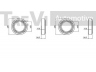 TREVI AUTOMOTIVE WB2156 rato guolio komplektas 
 Ašies montavimas/vairavimo mechanizmas/ratai -> Rato stebulė/montavimas -> Rato guolis
291501319B, 293501319