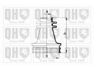QUINTON HAZELL QJB256 gofruotoji membrana, kardaninis velenas 
 Ratų pavara -> Gofruotoji membrana
44 03 963, 44 03 971, 77 01 466 349
