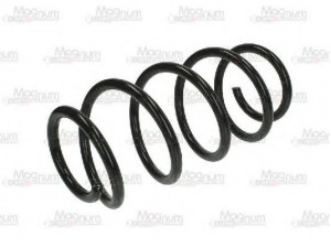 Magnum Technology SW123MT spyruoklė 
 Pakaba -> Spyruoklės
1K0411105BG