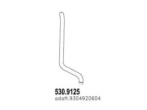 ASSO 530.9125 išleidimo kolektorius 
 Išmetimo sistema -> Išmetimo vamzdžiai
9304920604