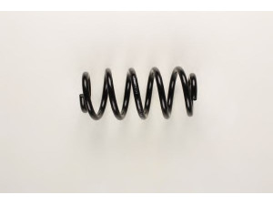 BILSTEIN 36-203154 spyruoklė 
 Pakaba -> Spyruoklės
4F0 411 105 CF