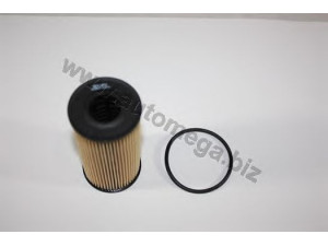 AUTOMEGA 1244310215 alyvos filtras 
 Techninės priežiūros dalys -> Techninės priežiūros intervalai
4431215