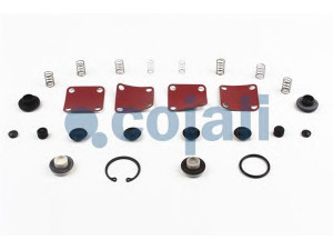 COJALI 6012146 remonto komplektas