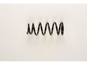 BILSTEIN 36-215669 spyruoklė 
 Pakaba -> Spyruoklės
55020-3M013