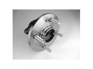 DELPHI BK1492 rato guolio komplektas