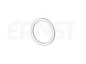 ERNST 499187 tarpiklis, išleidimo kolektorius
8 50 506, 8 54 961, 90499289, 90500695