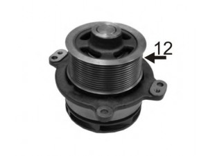 AIRTEX 1927 vandens siurblys 
 Aušinimo sistema -> Vandens siurblys/tarpiklis -> Vandens siurblys
500356553