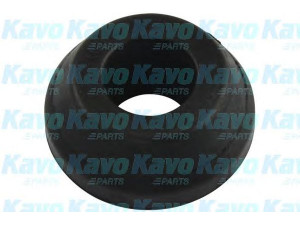 KAVO PARTS SCR-5565 valdymo svirties/išilginių svirčių įvorė 
 Ašies montavimas/vairavimo mechanizmas/ratai -> Valdymo svirtis/pasukamosios svirties sujungimas -> Montavimas/sutvirtinimas
MB809388
