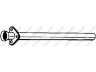 išleidimo kolektorius