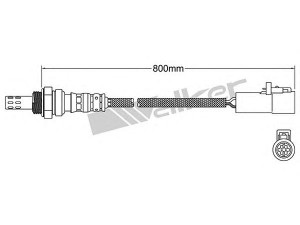 WALKER PRODUCTS 250-24858 lambda jutiklis 
 Išmetimo sistema -> Jutiklis/zondas
1127539, 1133441, 1S6A9G444BA, 4174512