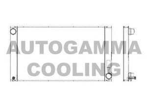 AUTOGAMMA 103391 radiatorius, variklio aušinimas 
 Aušinimo sistema -> Radiatorius/alyvos aušintuvas -> Radiatorius/dalys
17117787440, 7787440