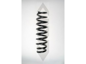 SPIDAN 56910 spyruoklė 
 Pakaba -> Spyruoklės
33 53 6 767 337