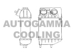 AUTOGAMMA 101953 tarpinis suslėgto oro aušintuvas, kompresorius
7700689227