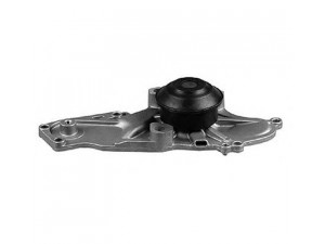 MAGNETI MARELLI 352316170474 vandens siurblys
19200RDVJ01